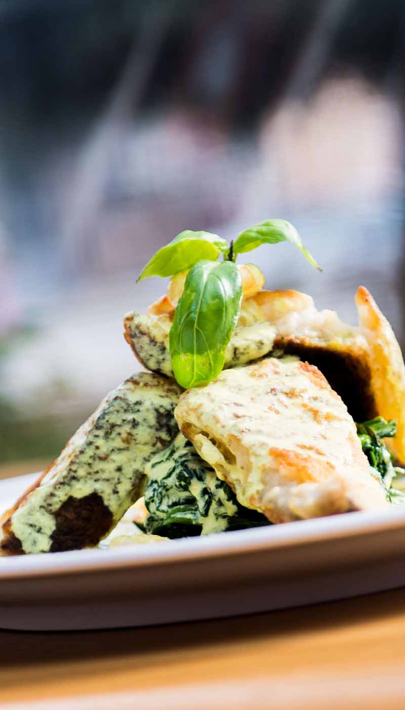Restaurant Gallo Nero Ramnicu Valcea Comanda Mancare Italiana