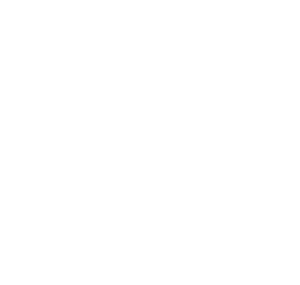 gallo nero logo white